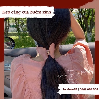 Kẹp càng cua 🦋 cực xinh