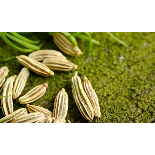 Hạt tiểu hồi hương - Fennel Seed 500gr