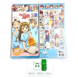 Postcard Hataraku Saibou (2)