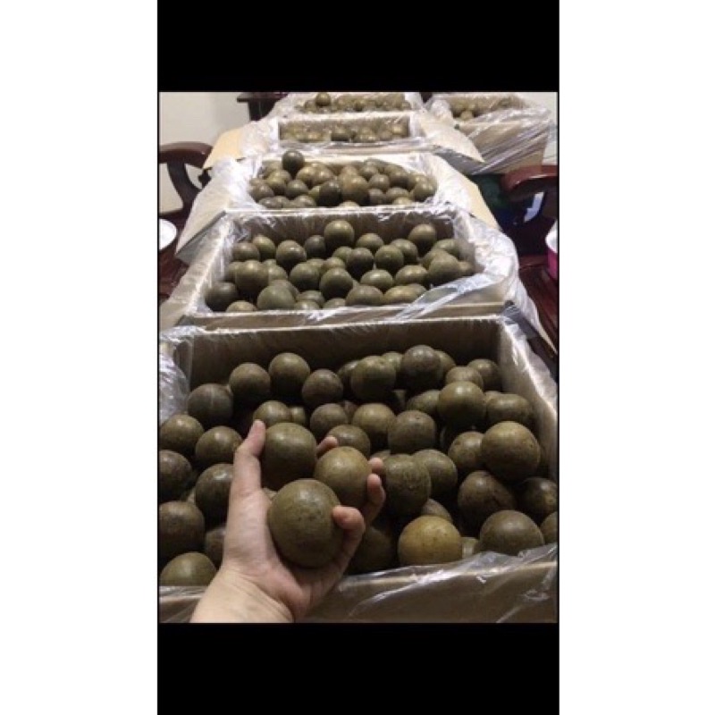 Quả la hán to già nguyên trái