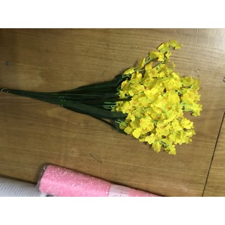 Nhành hoa lan vũ nữ
