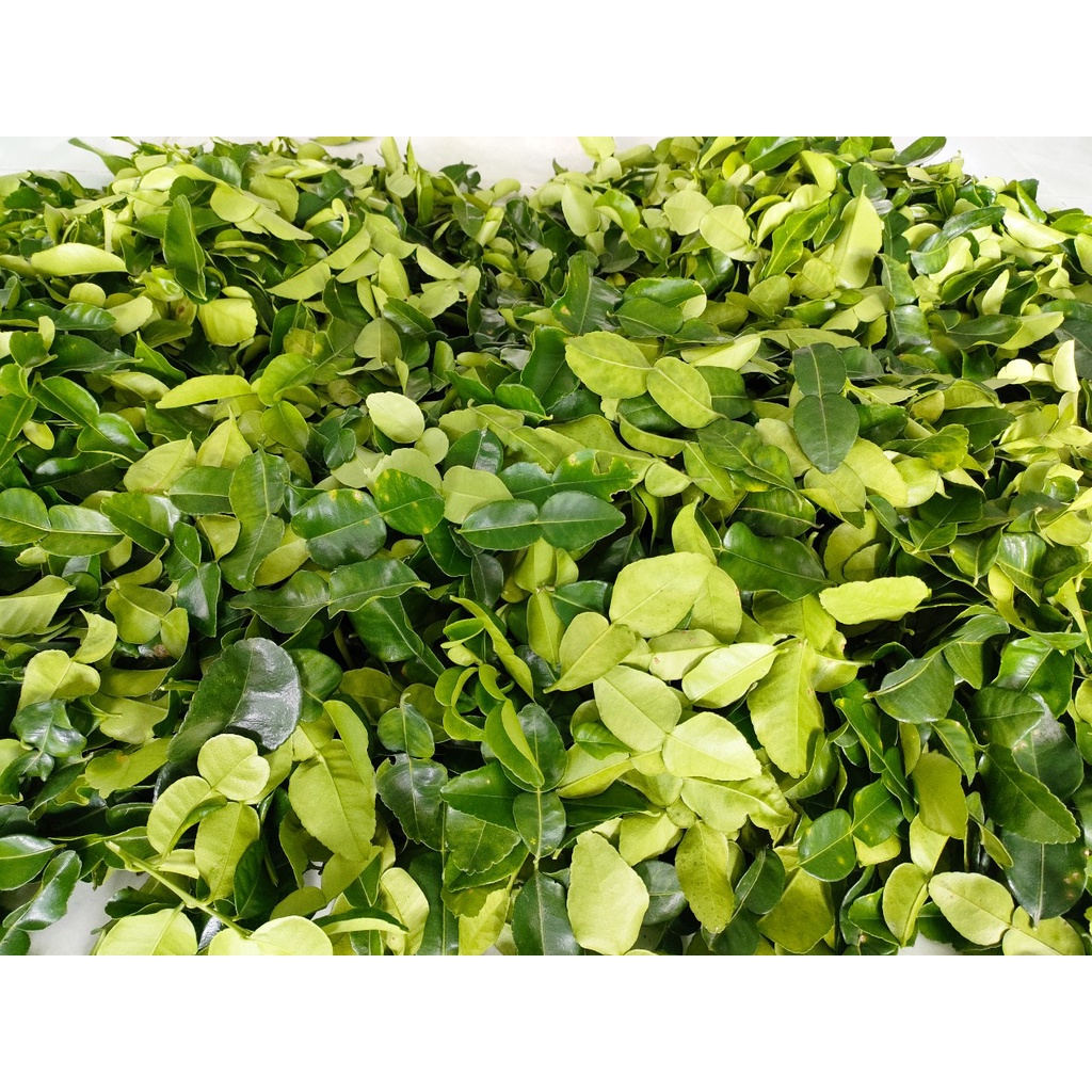 La chúc tươi 100g giá 20k