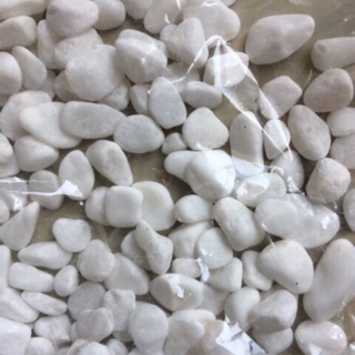 1 kg đá trắng dùng để trang trí cây cảnh chậu hoa