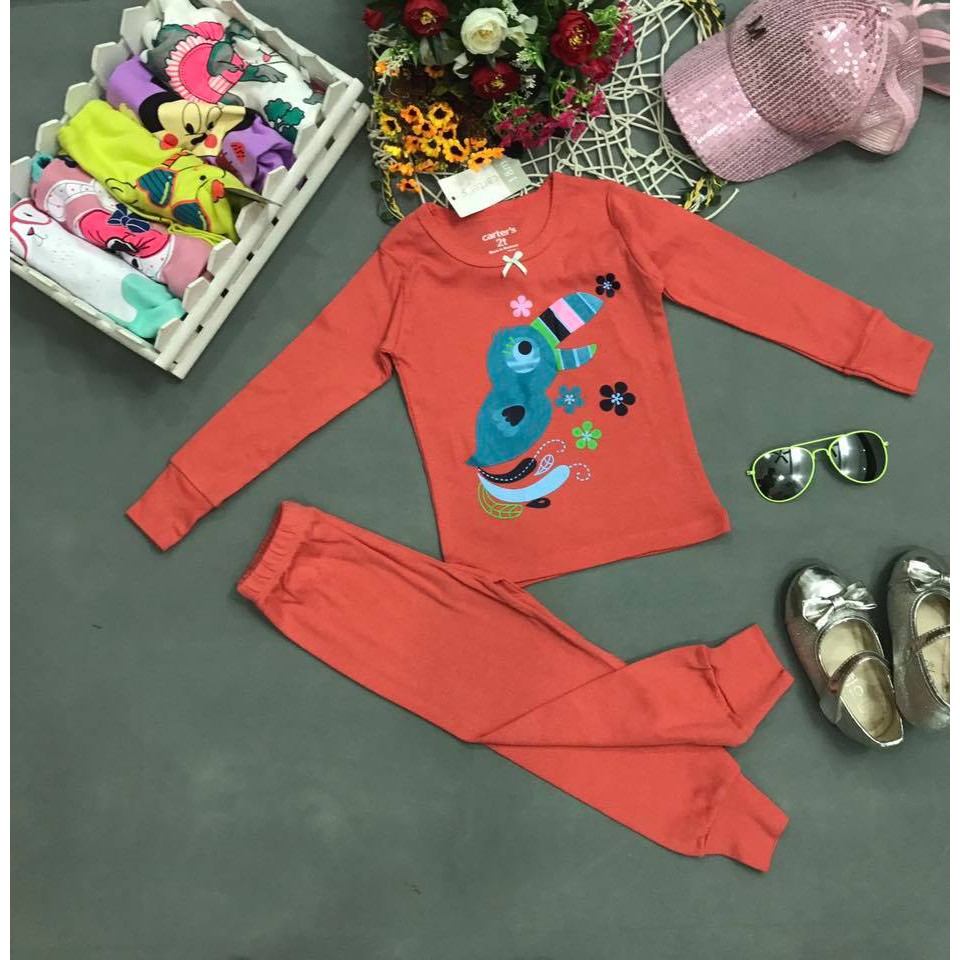 Bộ dài tay cho bé gái thun borip hàng Carter