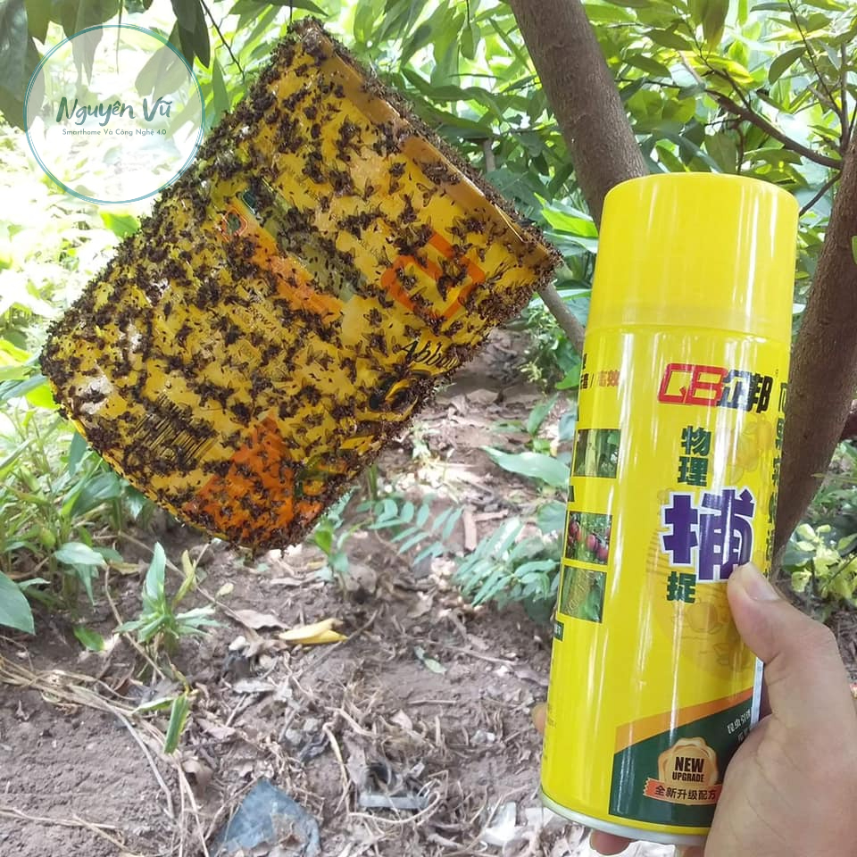 Chai Keo Xịt Bẫy Ruồi Vàng 450ml, Hương Thơm Dẫn Dụ, Không Bị Rửa Trôi, An Toàn, Hiệu Quả