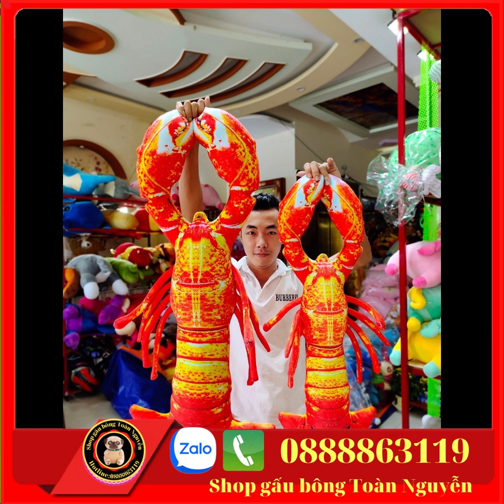 GẤU BÔNG IN HÌNH CON TÔM 3D SIZE 70-1M