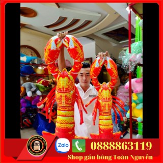 GẤU BÔNG IN HÌNH CON TÔM 3D SIZE 70-1M