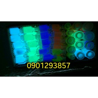 (H24) Combo 7 lọ bột dạ quang ( 1 lọ 5g) TẶNG kèm sơn pha