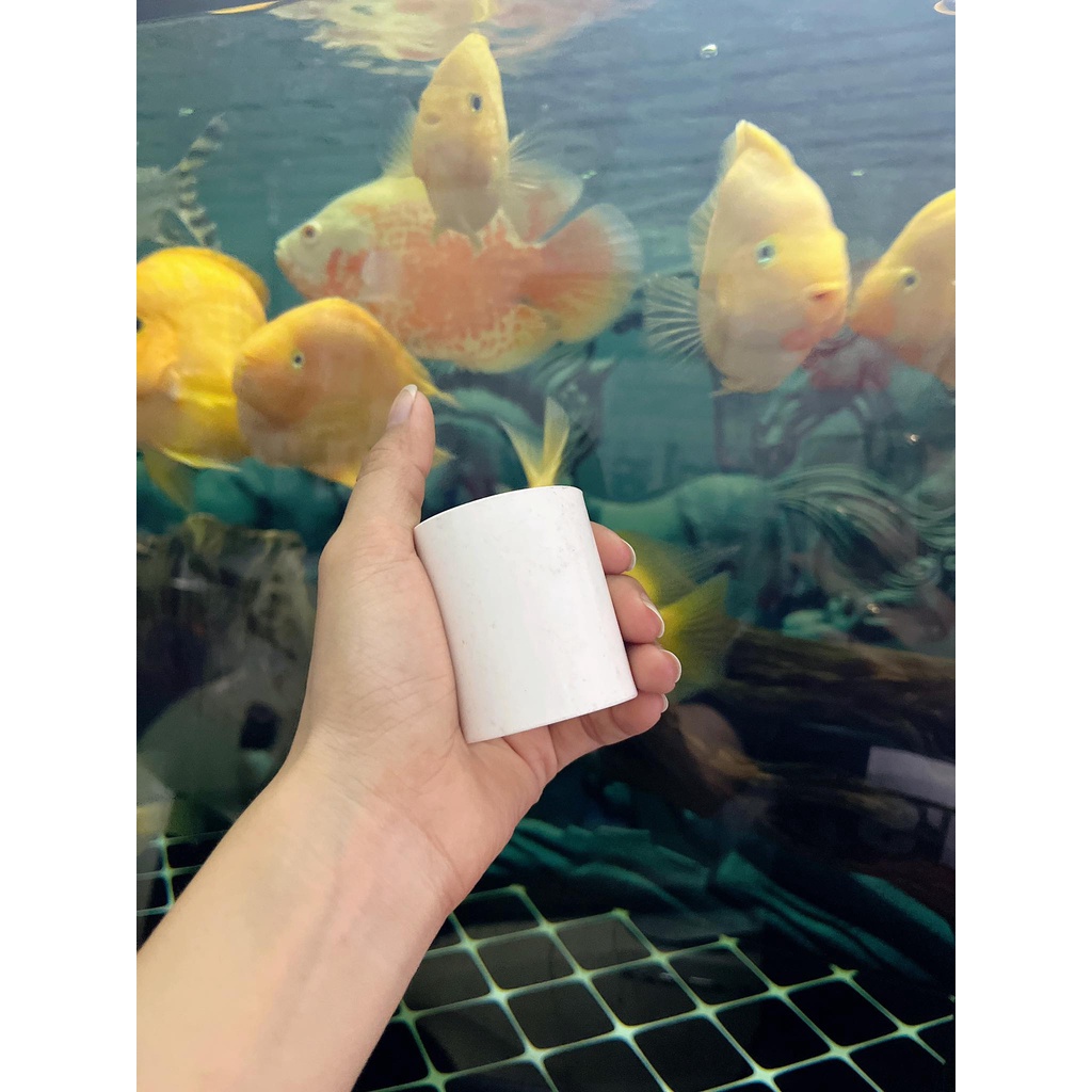Cút nối, khớp nối ống, PVC cho bể cá cảnh, phi 20mm 25mm 32mm