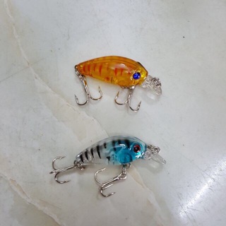 mồi câu cá chu vi siêu nhậy