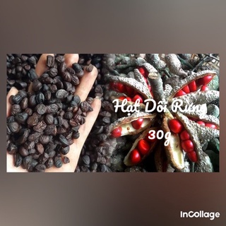 Mắc Khén Sapa 100g Hạt Dổi 50g