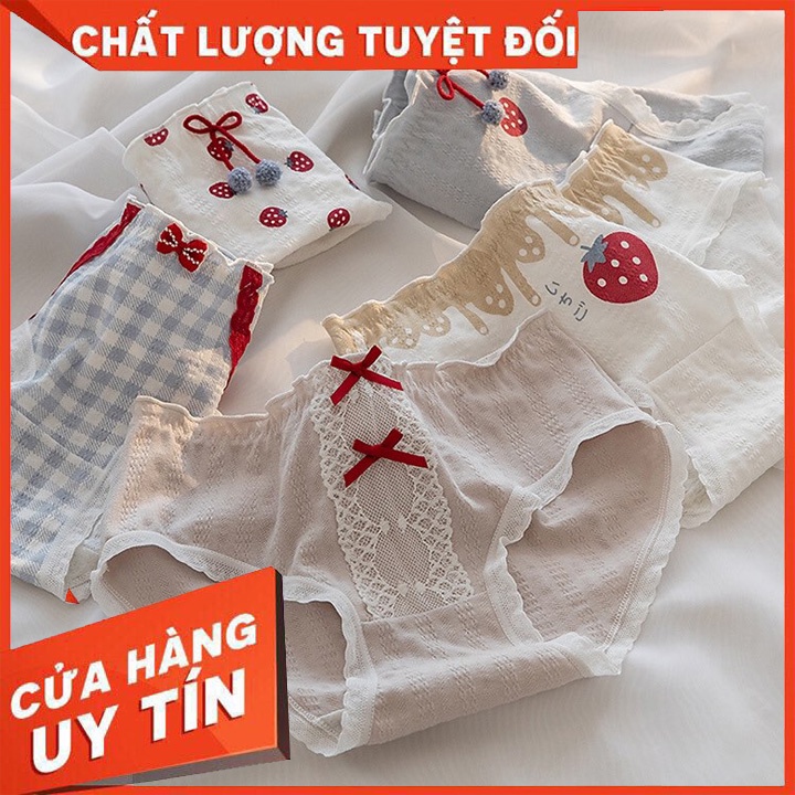 Set 5 Quần Chip Cotton - Co Dãn Thoải Mái - Dễ Dàng Vệ Sinh Giặt Giũ - Kháng Khuẩn - Có Thể Làm Quà Tặng