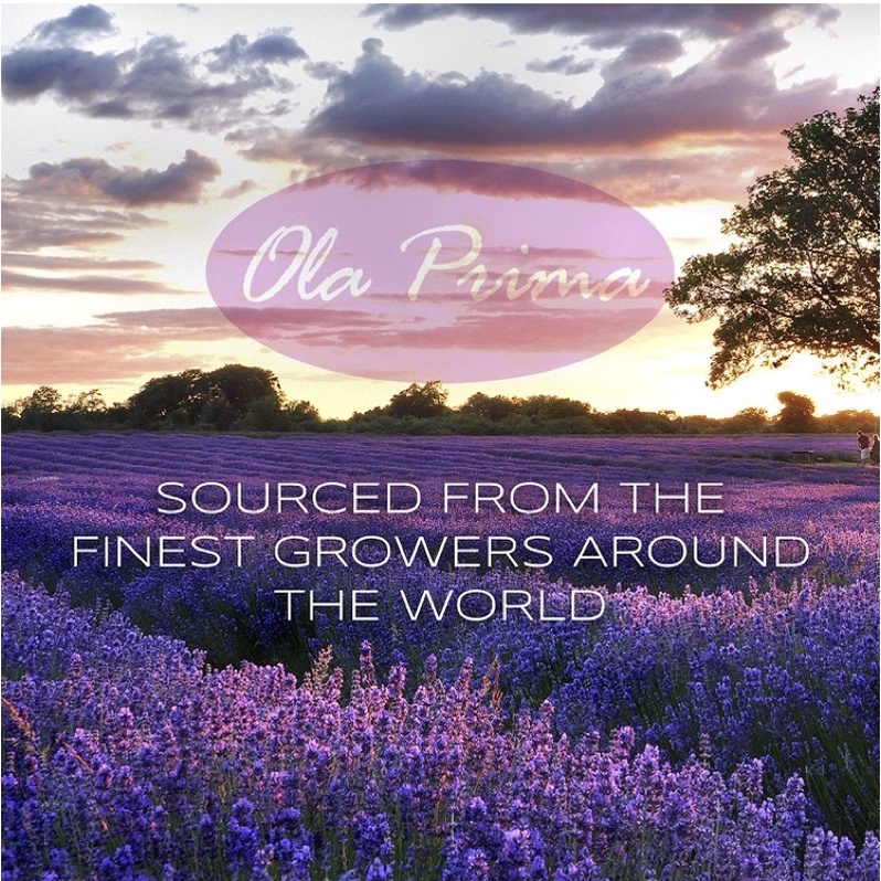 Tinh dầu hương thảo Rosemary Essential Oil Ola Prima 118ml USA