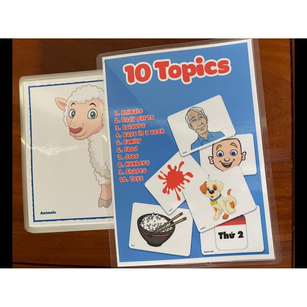 Dồ Dùng Dạy Học Trực Quan Flashcards 10 chủ đề VPPT&amp;T dạy Tiếng Anh cho trẻ mầm non ( 113 Thẻ ) FLC0113