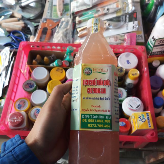 [SIEURE] Thần dược dịch chuối chính hãng nguyễn quốc tư cho hoa lan và cây cảnh hàng đẹp, phân phối chuyên nghiệp.