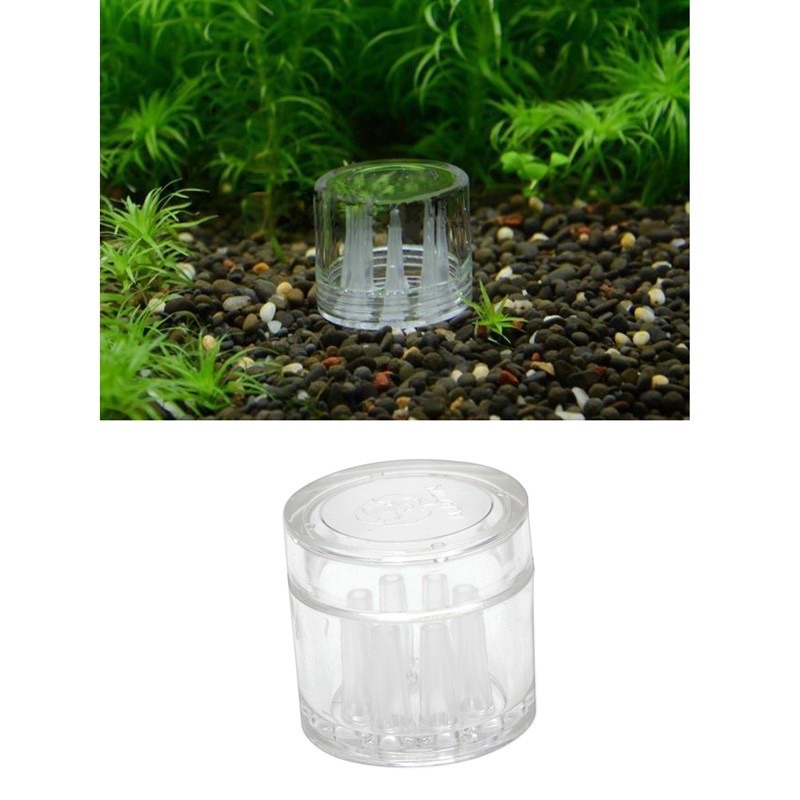 Bẩy sán acrylic - bẩy sán bể tép | bể thủy sinh