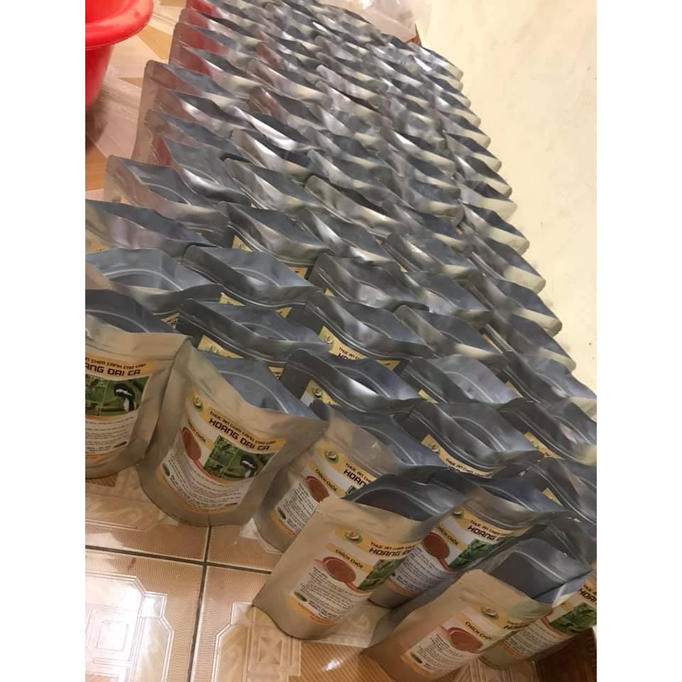 Cám Chim Chích Chòe Hoàng Đại Ca, chim ổn định.