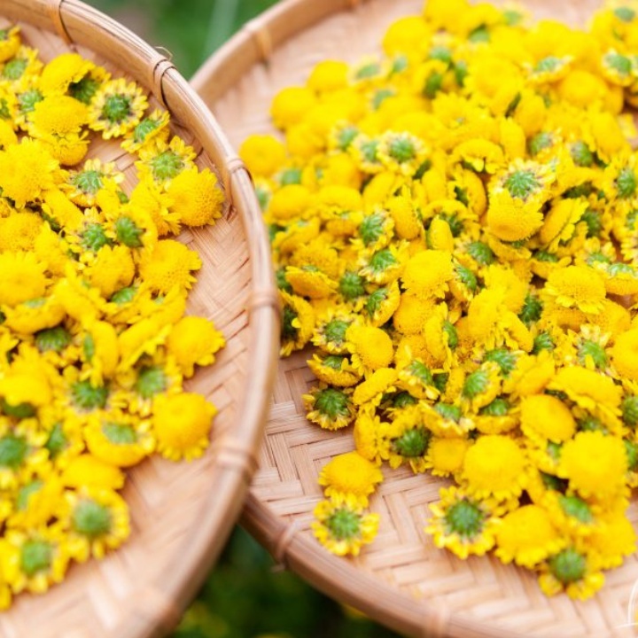 50g Trà Hoa Cúc Chi Hưng Yên Hàng Loại 1, Cúc Vàng Nụ Bé Sấy Lạnh Nguyên Bông Giúp Ngủ Ngon