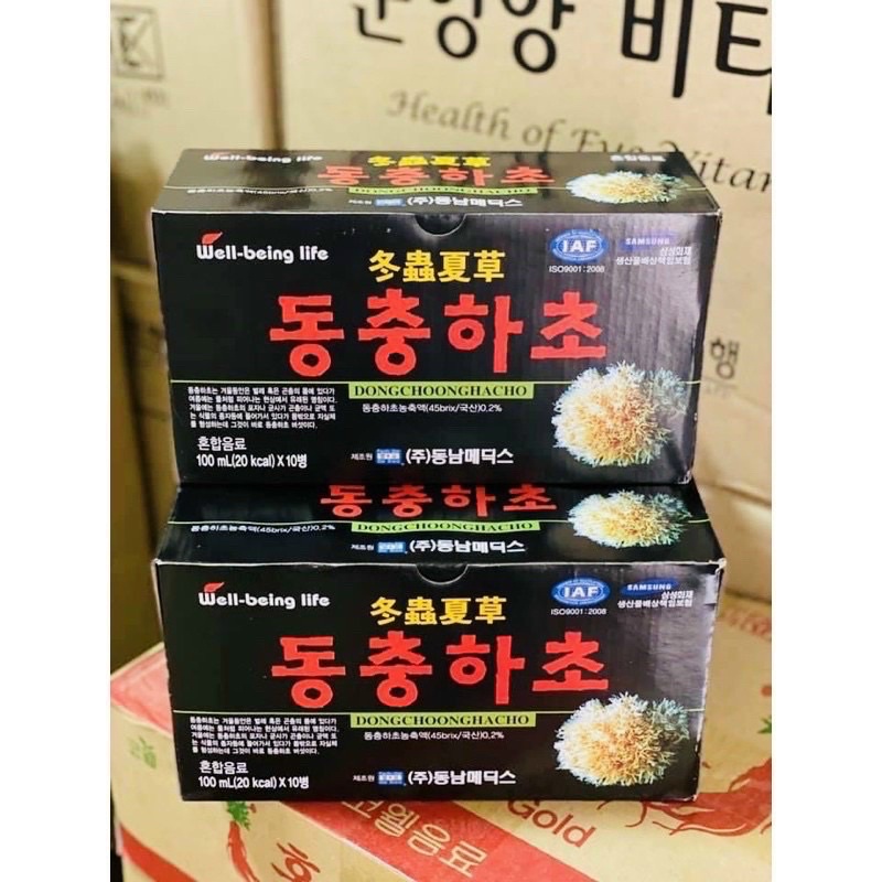 Combo 20 chai nước đông trùng hạ thảo Well-being Life Hàn Quốc