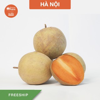 [HN] 1KG Sapoche (Hồng Xiêm) Mexico Tiền Giang Mọng Thơm Ngọt Đậm - Shopeefarm