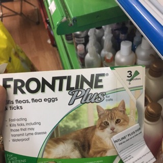 FRONTLINE PLUS NHỎ GÁY CHO MÈO BỊ VE RẬN