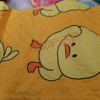 Áo gối cotton chần Bông