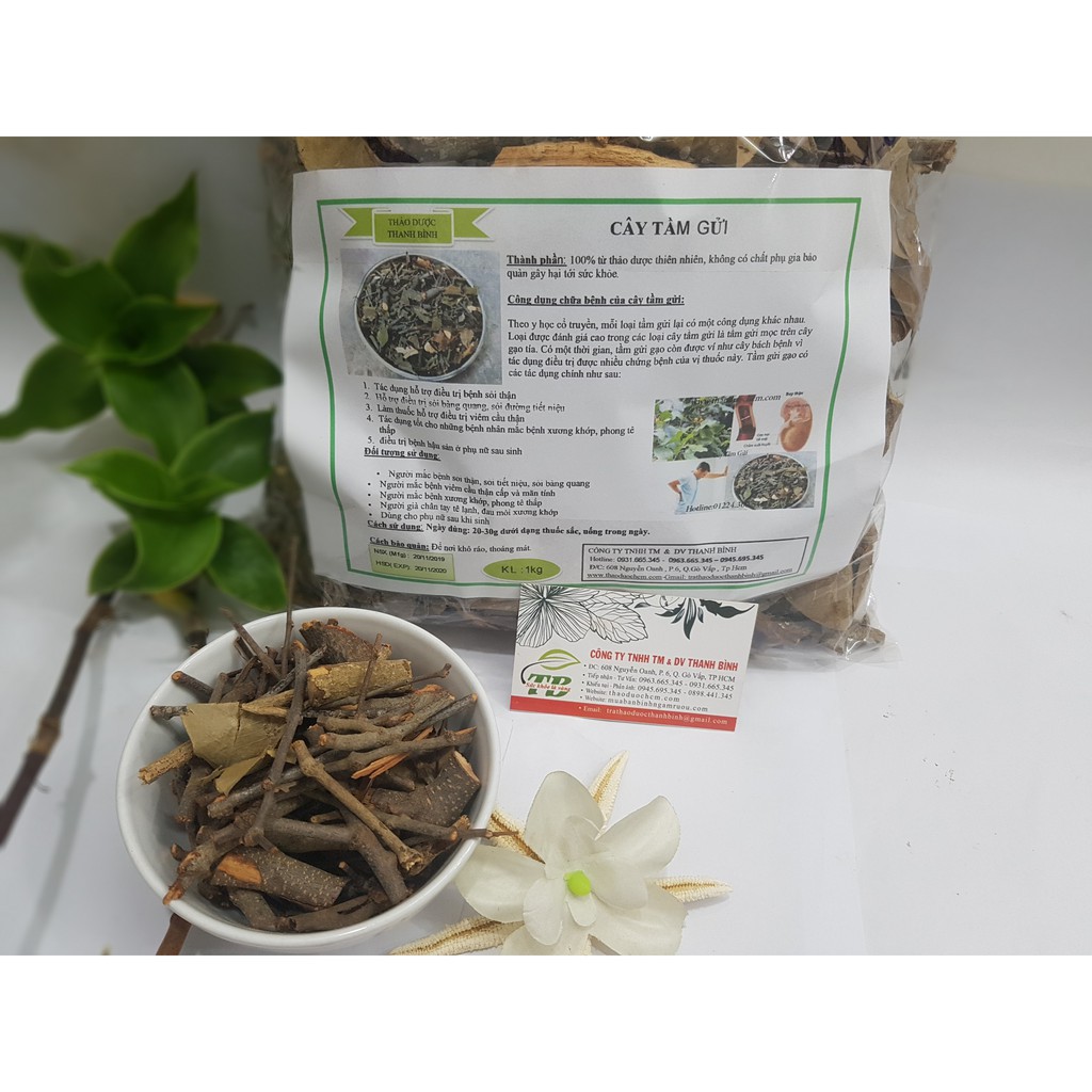 Cây Tầm Gửi 500g - Loại 1 - Dược Liệu Thanh Bình