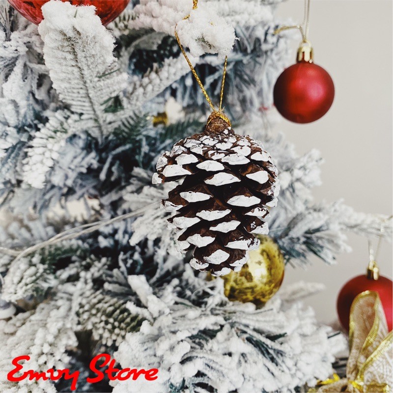 TRÁI THÔNG KHÔ PHỦ TUYẾT/ TRÁI THÔNG TRANG TRÍ