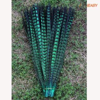 10 lông vũ nhiều màu 30-35cm
