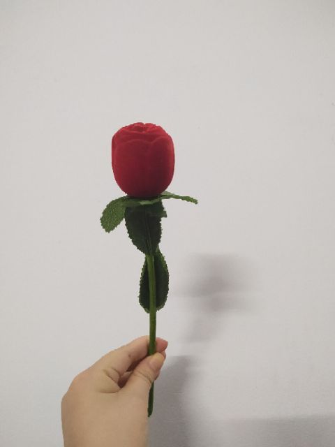 Bông hồng đựng nhẫn giá rẻ hàng đẹp