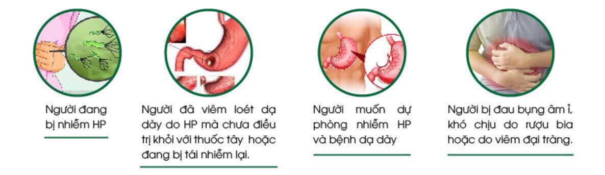 Chè dây deHP Bình Vị Gel (viêm dạ dày ,tá tràng, đại tràng cấp và mãn tính...)