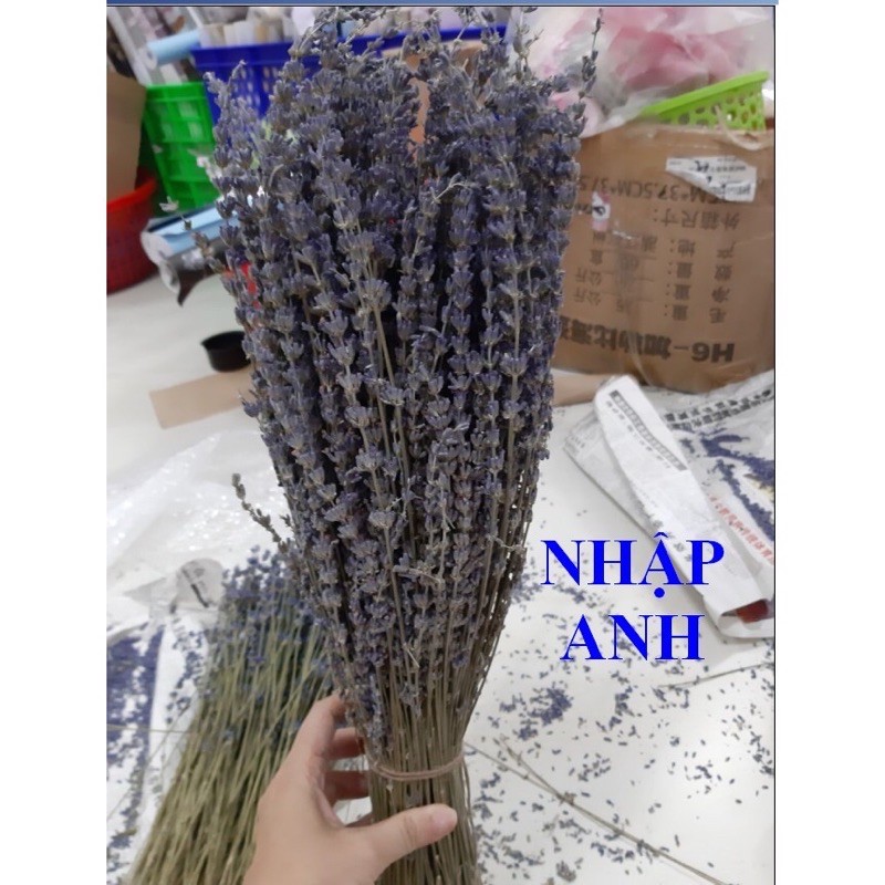 Bó Hoa Lavender Thiên Nhiên Khô Thơm Nhập Khẩu Anh, Pháp 130g (tầm 130-150 nhánh)