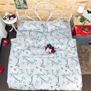 Bộ chăn ga gối trơn cotton poly