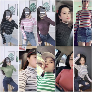 Combo 12 áo thun cổ lọ sọc + tron