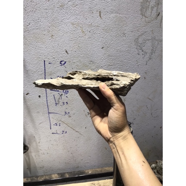 Đá vỉa trang trí bể cá 1kg
