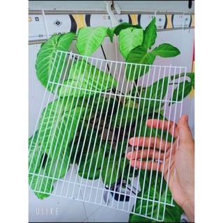 Vách ngăn chia đôi lồng 47cm