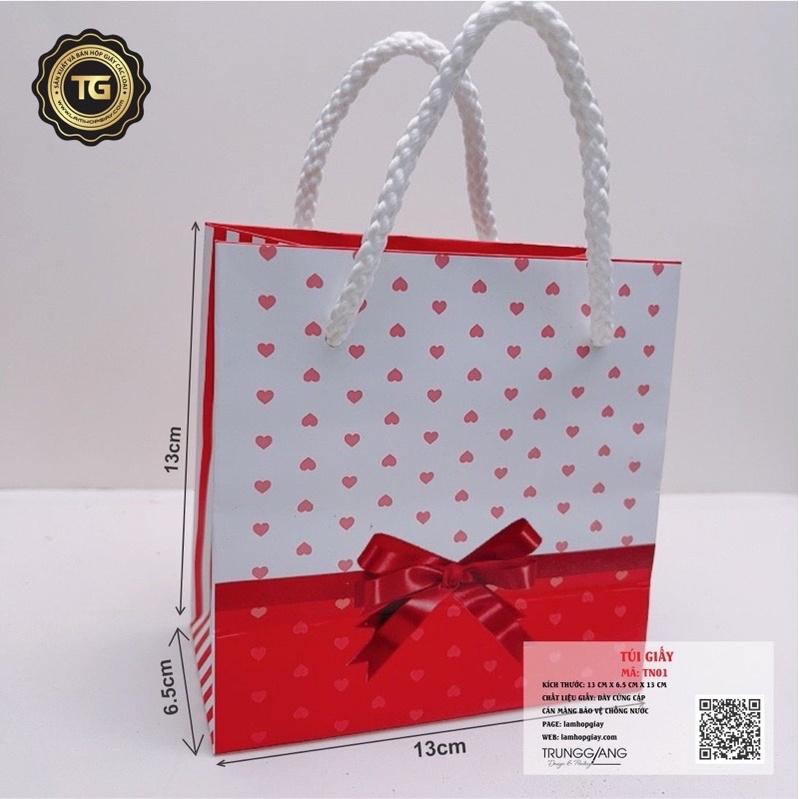 100 túi giấy TN01