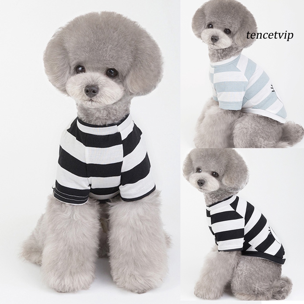 Áo thun cotton thoáng khí in hình đôi mắt dành cho thú cưng