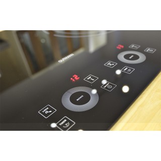 Bếp từ Munchen G60