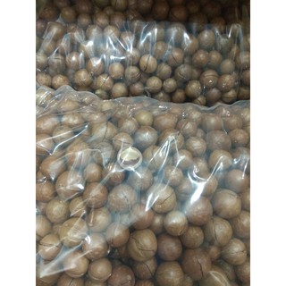 [Bao 10kg-hàng xá] Hạt macca nứt vỏ cao cấp