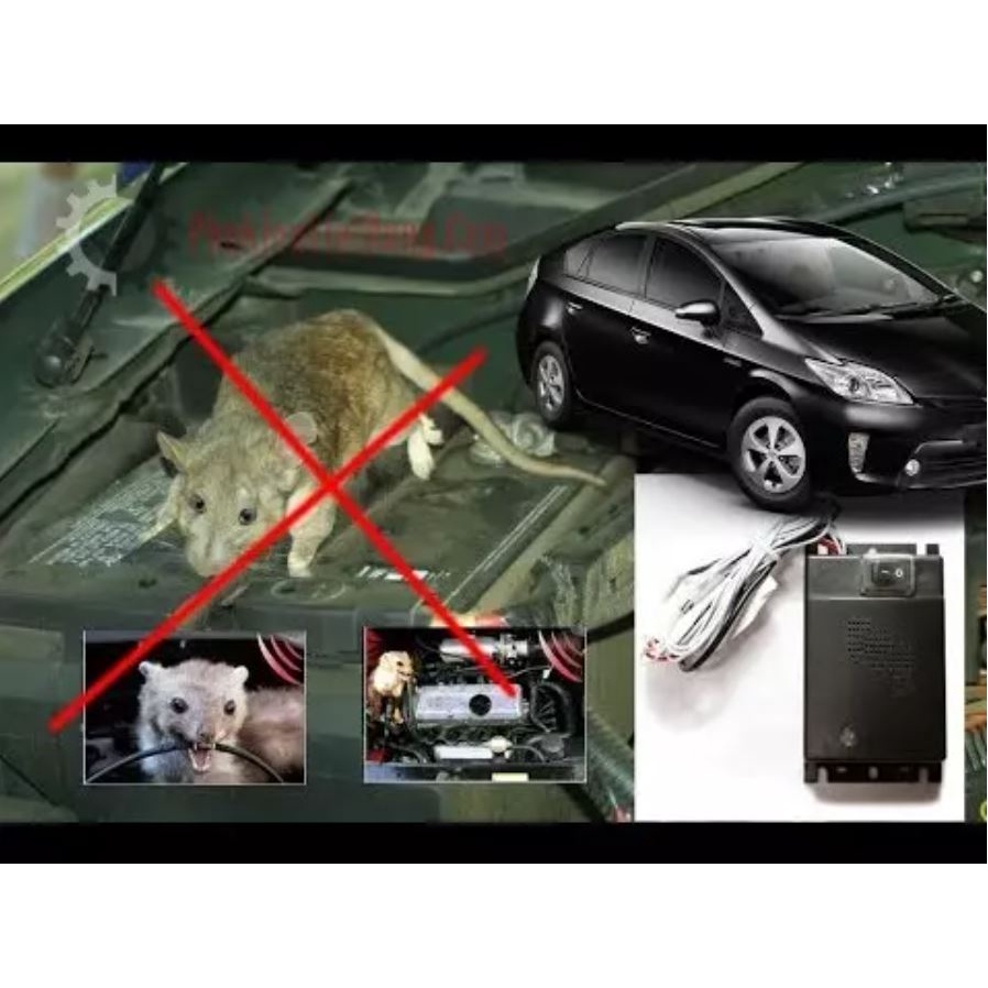 Chai xịt chống chuột trên ô tô; Hiệu lực kéo dài 6 tháng sau mỗi lần xịt; Chai xịt đuổi chuột; Xịt chống chuột ô tô