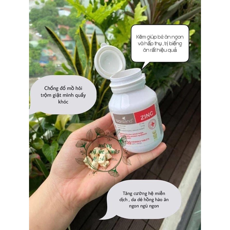 Kẹo Kẽm Bio Island Úc hình gấu 120v