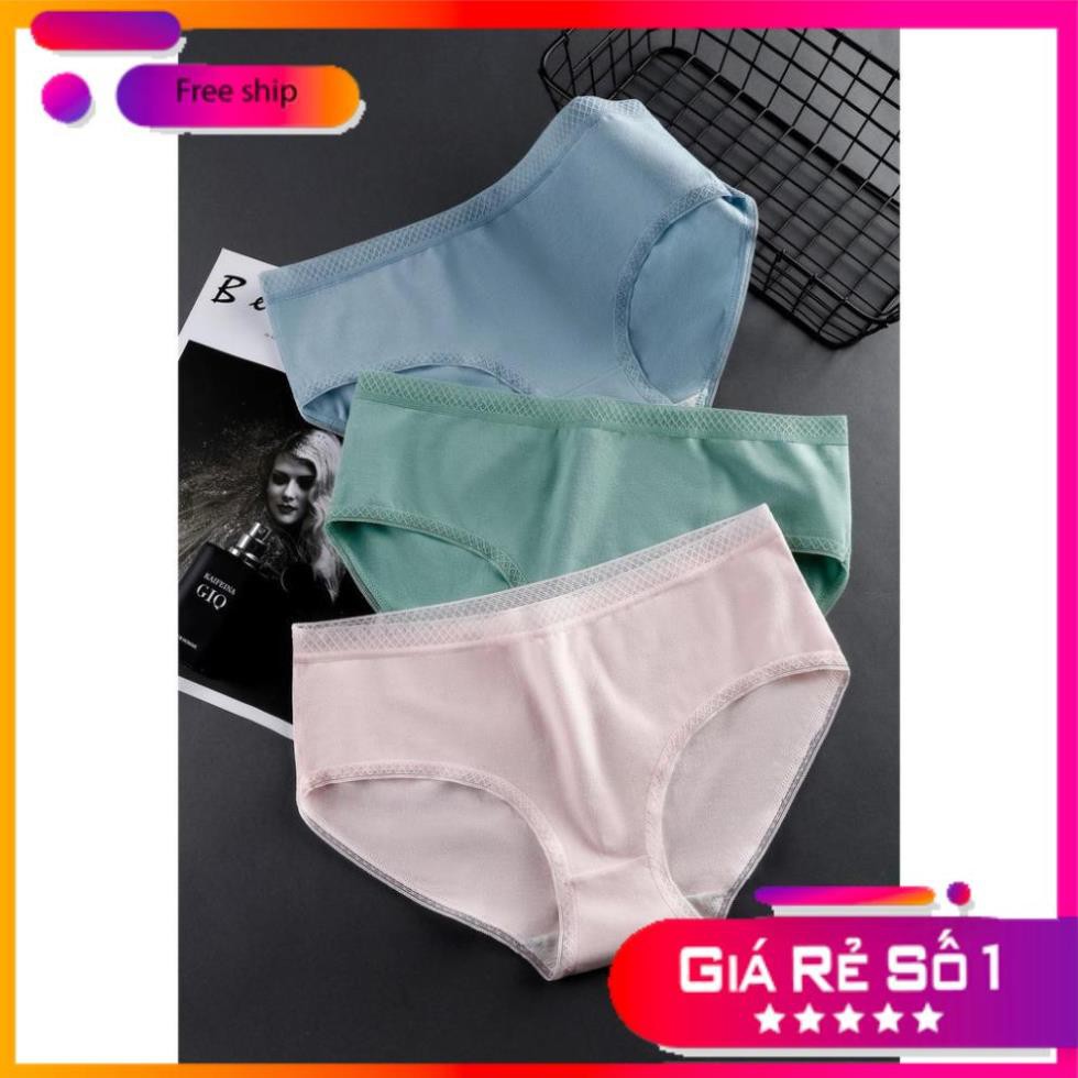Quần Lót Cotton Cạp Ren Cao Cấp Mới Nhât | BigBuy360 - bigbuy360.vn