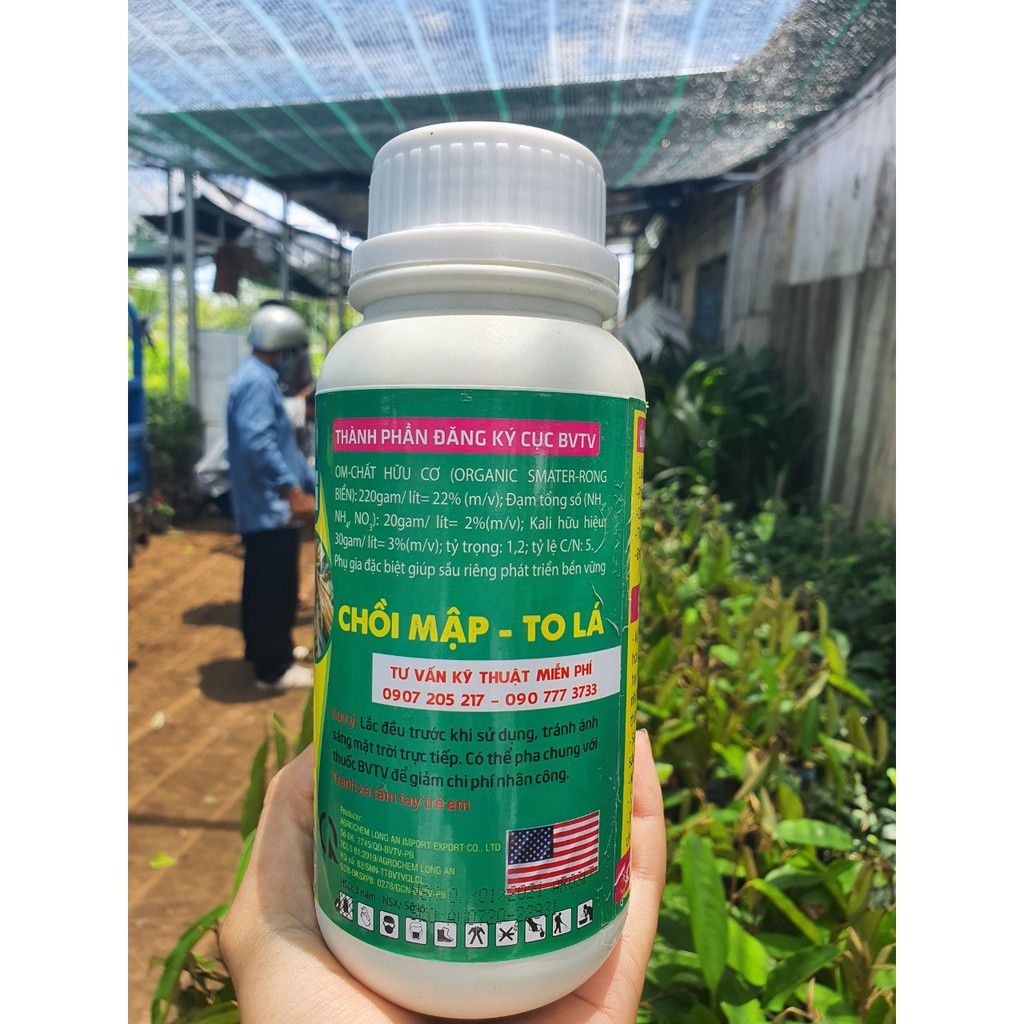 Vọt Đọt Sầu Riêng Chuyên Dùng Kích Tượt Mập, Lá To Xanh, Đánh Thức Mầm Ngủ - STCG