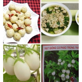 Hạt giống CÀ TRỨNG TRẮNG F1