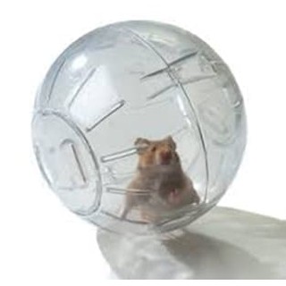 Bóng đồ chơi Bd196 cho chuột hamster