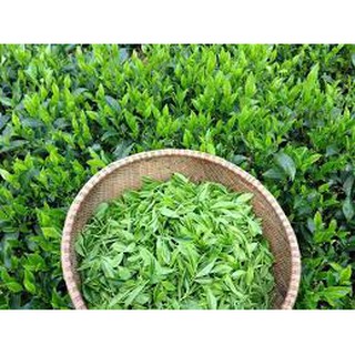 [ TRÀ BẮC - LOẠI 4 ] 100G - TRÀ (CHÈ) TÂN CƯƠNG THÁI NGUYÊN