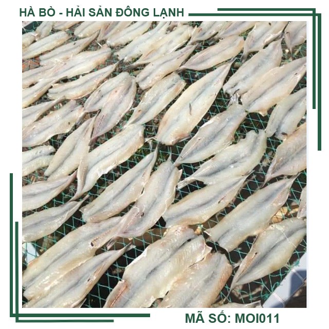 [Giao Hà Nội] Cá mối 1 nắng khay 500 gram - mã số: MOI013