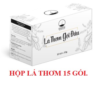 LÁ THƠM GỘI ĐẦU OGATIC.