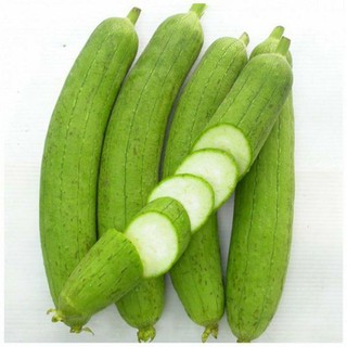 Hạt giống mướp hương
